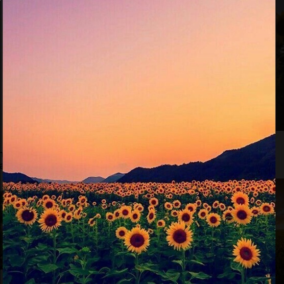 Meet your Posher, Kelli - Picture 1 of 1